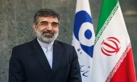 سخنگوی سازمان انرژی اتمی: اقدام ایران مبتنی بر برجام است