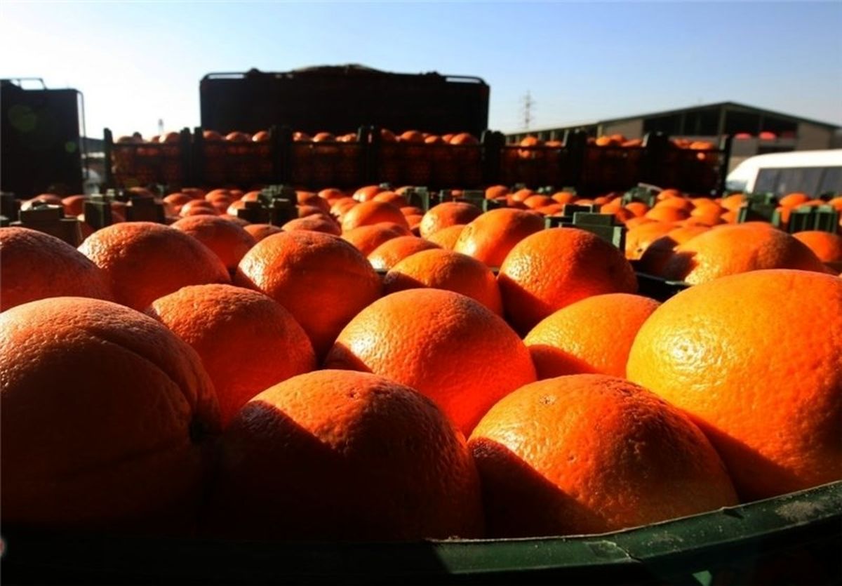 ۸۰۰ تن میوه تنظیم بازار شب عید در استان لرستان تأمین شد