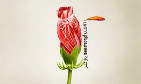 تنگی واژن و عدم دخول واقعیت دارد؟