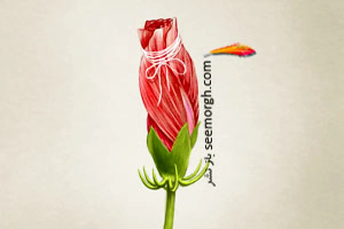 تنگی واژن و عدم دخول واقعیت دارد؟