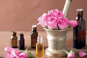 طبع گل محمدی چیست؟