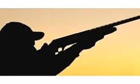 شکارچی به جای گراز، برادرش را کشت