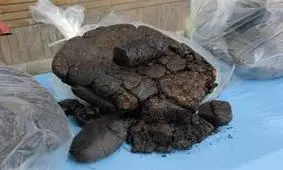 کشف بیش از یک کیلو تریاک از معده مسافر