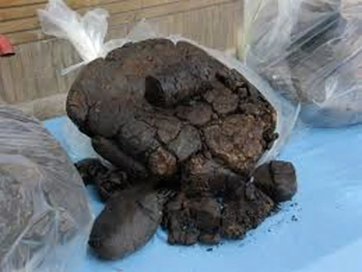 کشف بیش از یک کیلو تریاک از معده مسافر