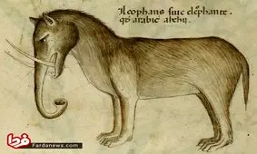 نقاشی تخیلی فیل از نقاش اروپایی که فیل ندیده بود!