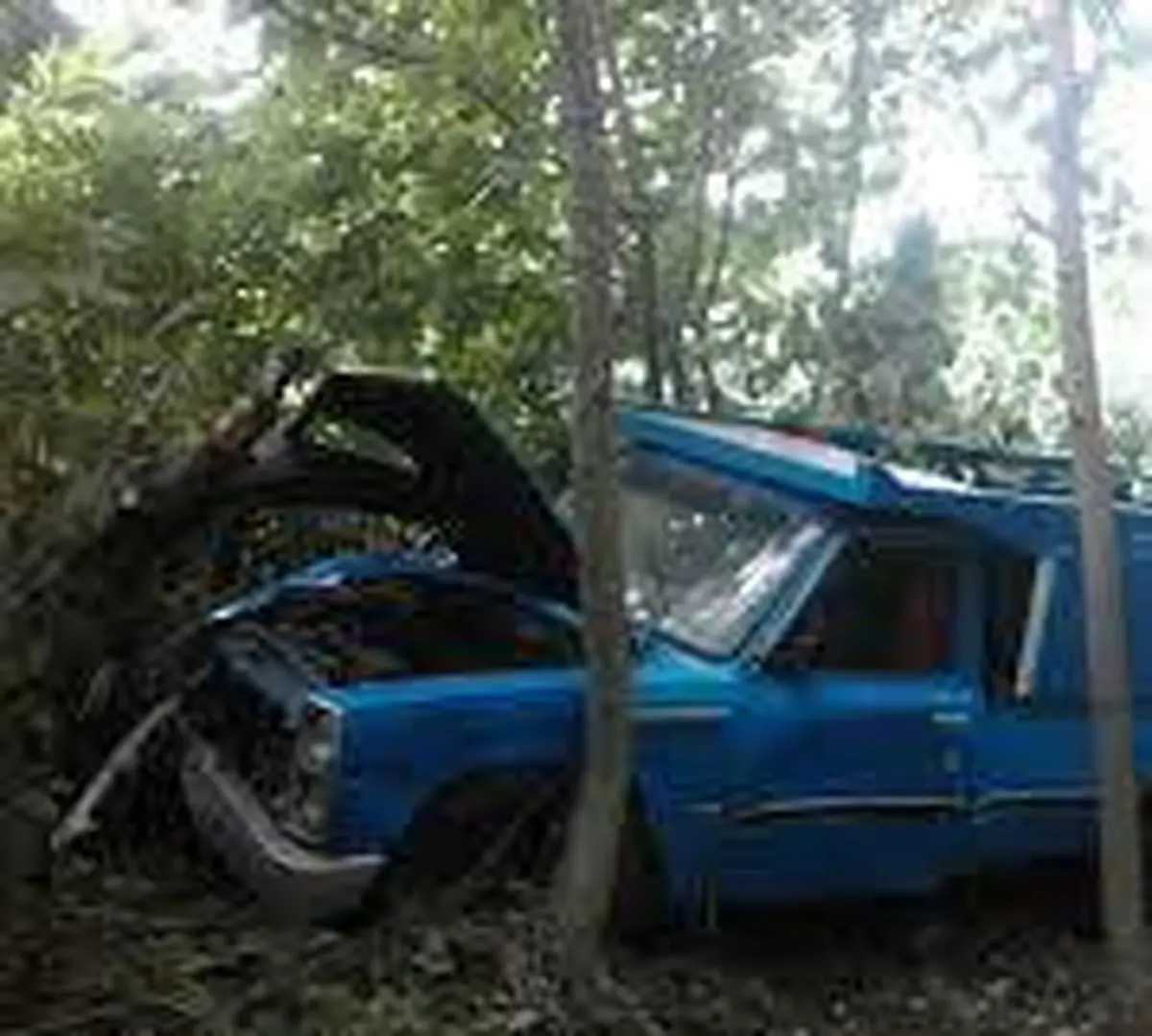 سقوط خودرو موجب مرگ راننده شد