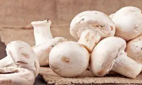 کاهش قیمت قارچ در غرفه تره بار