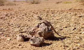 مثلث برمودای ایران کجاست ؟