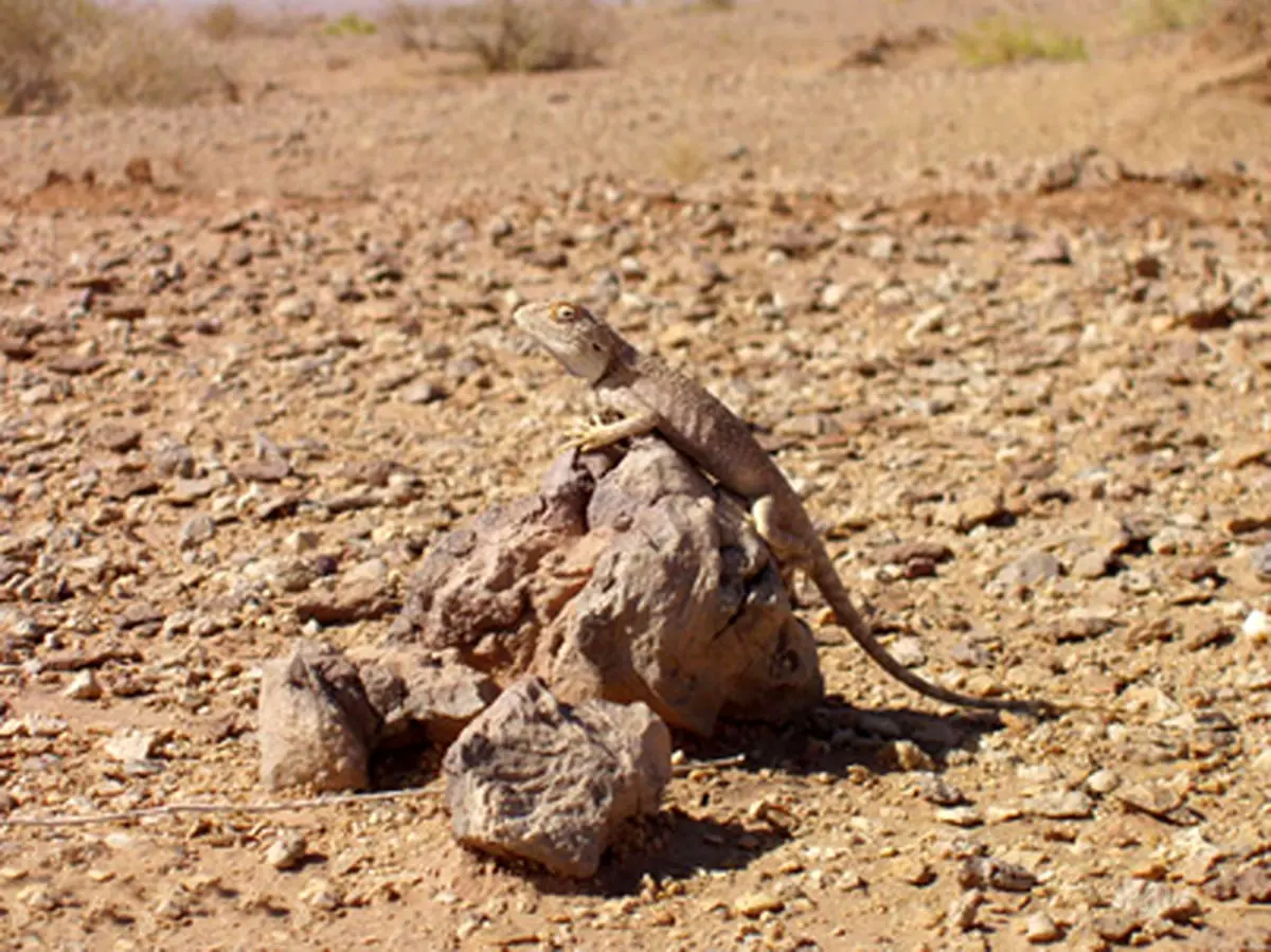 مثلث برمودای ایران کجاست ؟