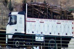 نیروی انتظامی تالش پنج تن چوب آلات قاچاق را توقیف کرد