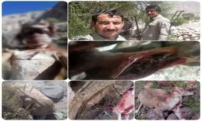 دستگیری شکارچی که گرگ ها هم از دستش در امان نبودند