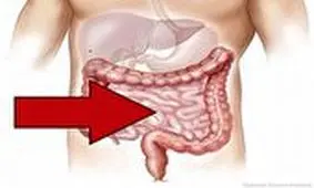 دانستنی‌های جالب درباره سیستم گوارش انسان