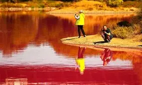 تصویری از دریاچه‌ای صورتی در استرالیا