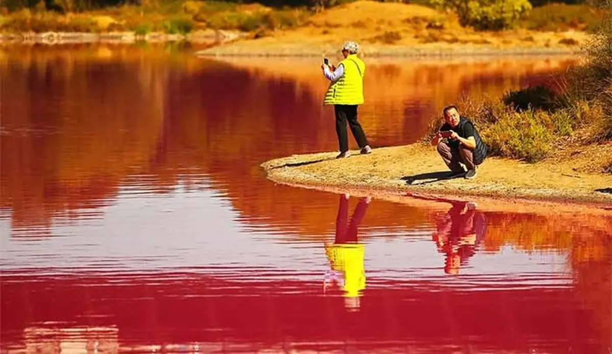 تصویری از دریاچه‌ای صورتی در استرالیا