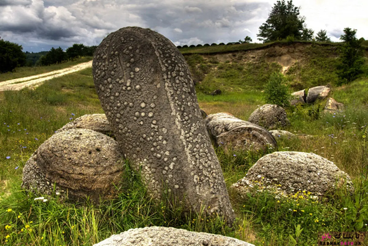 سنگ‌های عجیبی که رشد می‌کنند! + تصاویر