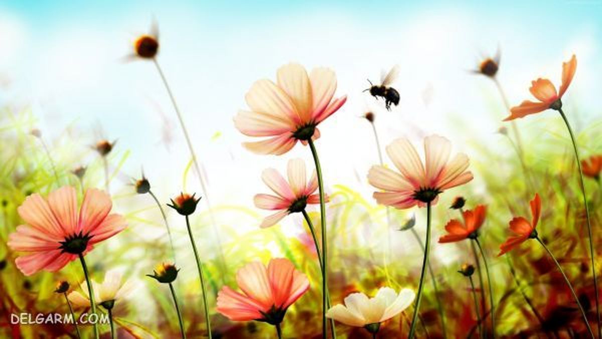 فواید نگاه کردن به گلها و درمان افسردگی