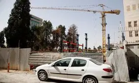 خشک شدن درختان ۱۵۰ ساله در شیراز+عکس