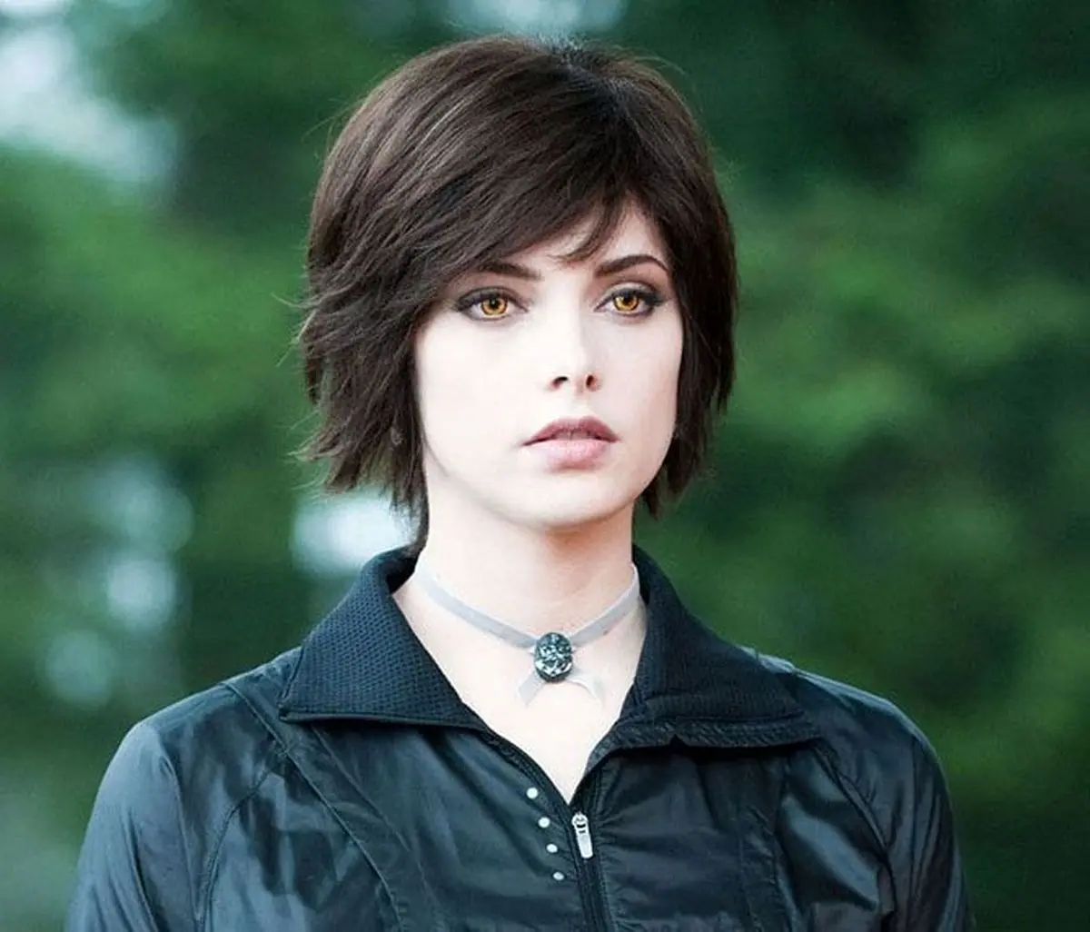 ستاره هایی که مردم آزاری می کنند