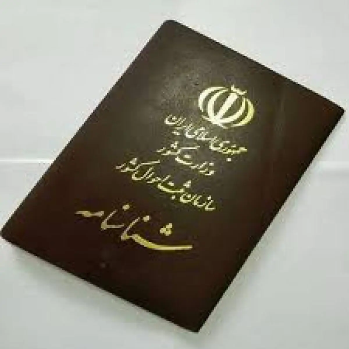 پرونده خبرفوری درباره لایحه‌ای که پس از سال‌ها روی خوش دید/ رای مثبت مجلسی‌ها به شناسنامه دار شدن فرزندان مادران ایرانی