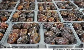 کشف بیش از 10 تن خرمای احتکار شده در مریوان