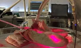 هک شدن اطلاعات پزشکی ۴ میلیون آمریکایی در ۴ ماه