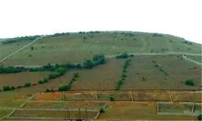 زمینخواری ۸ میلیارد ریالی در میاندرود کشف شد