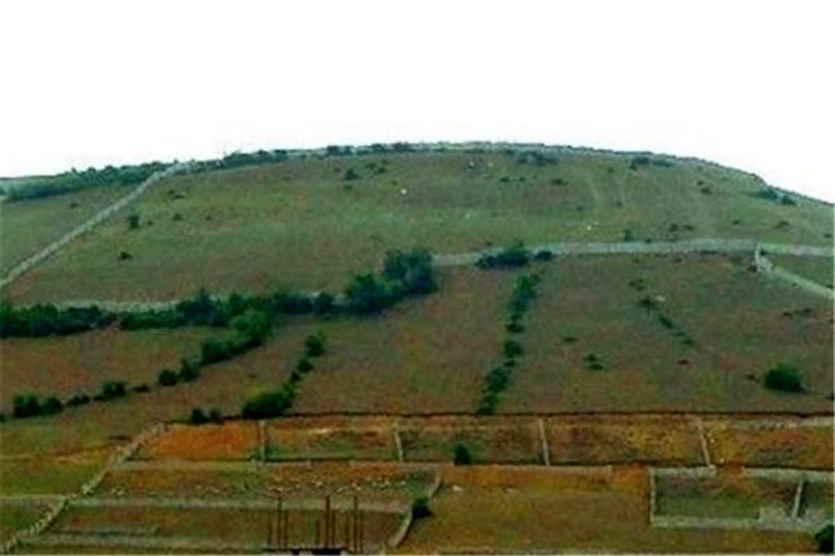 زمینخواری ۸ میلیارد ریالی در میاندرود کشف شد