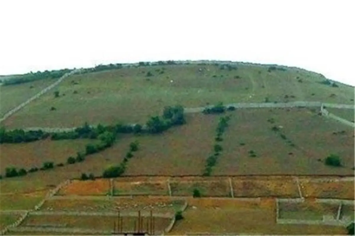 زمینخواری ۸ میلیارد ریالی در میاندرود کشف شد