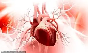 تصویربرداری سه‌بعدی از ساختارهای بسیار ریز با تکنیک جدید