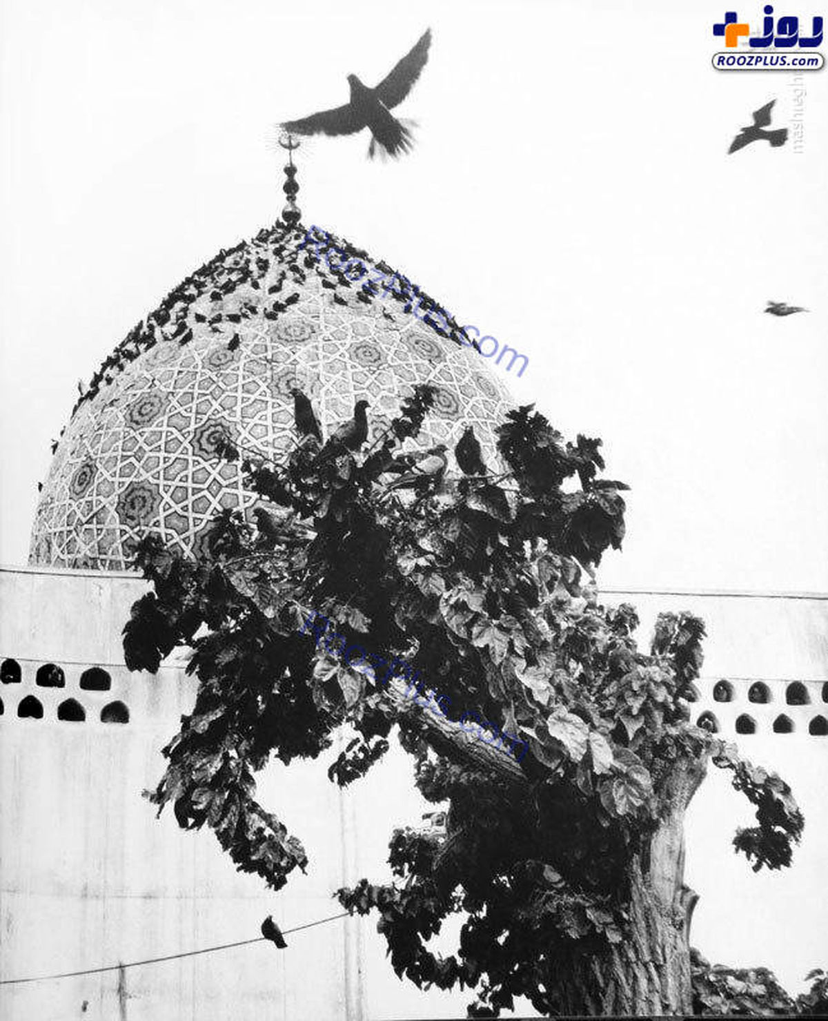 امامزاده صالح در دهه ۴۰+عکس