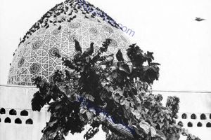امامزاده صالح در دهه ۴۰+عکس