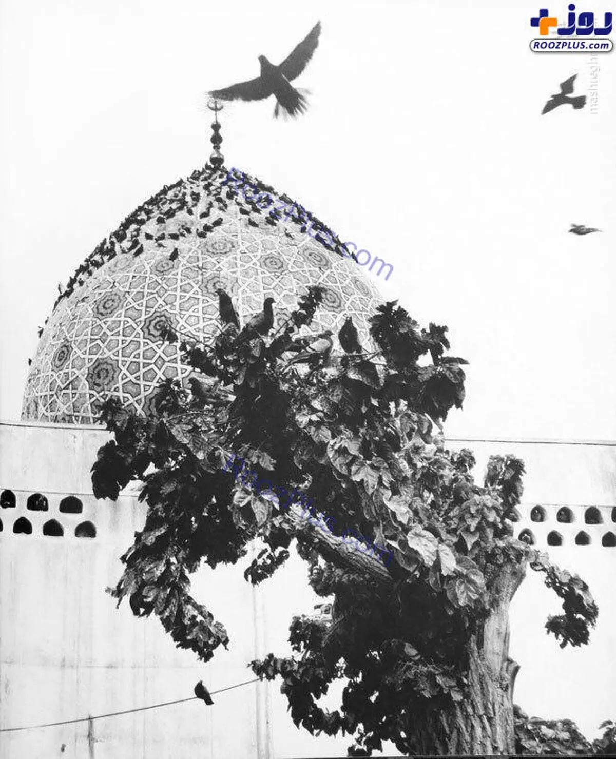 امامزاده صالح در دهه ۴۰+عکس