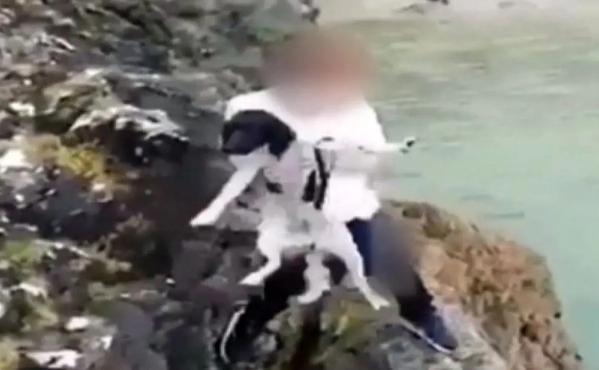 حیوان آزاری عجیب جوان انگلیسی سوژه رسانه‌ها شد! +فیلم