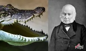 عجیب‌ترین حیوان خانگی کاخ سفید چه بود؟ +عکس