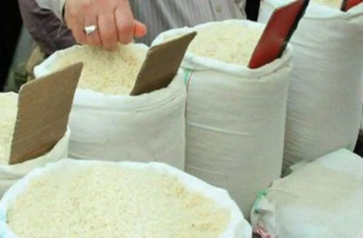 کمبود برنج نداریم
