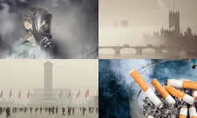 زندگی مدرن احساس بویایی انسان را نابود می‌کند