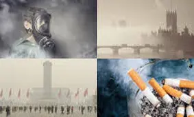 زندگی مدرن احساس بویایی انسان را نابود می‌کند