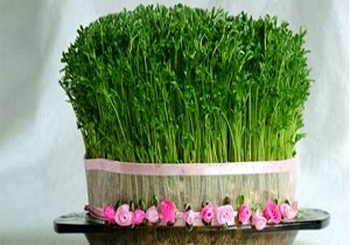 چرا قبل از نوروز سبزه سبز میکنند؟