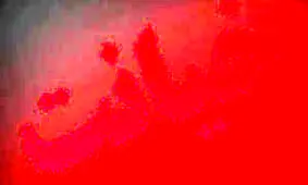 مرد متاهل با دختر دانشجوی 22 ساله در پاتوق گیر افتاد