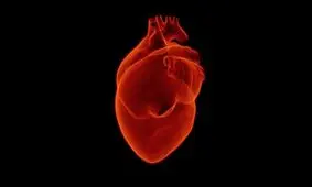 یادگیری ماشینی حمله قلبی را دقیق‌تر از انسان پیش‌بینی می‌کند