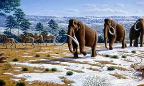 دانشمندان دلیل انفجار کامبرین را کشف کرده‌اند