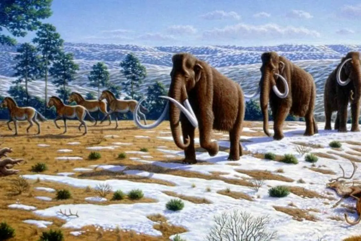 دانشمندان دلیل انفجار کامبرین را کشف کرده‌اند