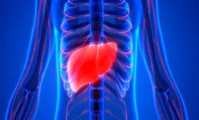 کبد خود را به روز رسانی کنید