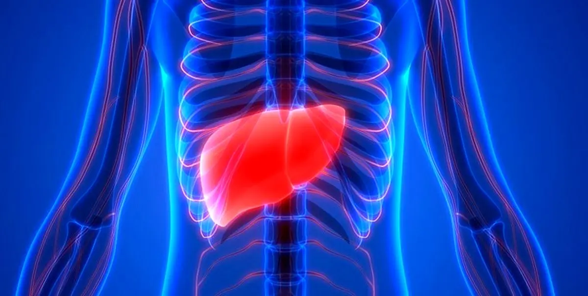 کبد خود را به روز رسانی کنید