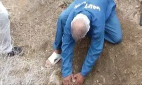 دادگاه «گرگ پیر» فردا در مشهد برگزار می‌شود