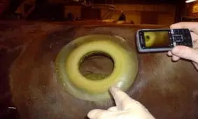 تصاویری شگفت انگیز از حفر‌های بدن گاو که تا به حال ندیده اید