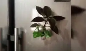 آموزش ساخت مگنت یخچال