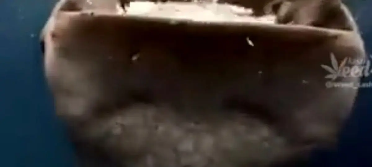 یکی دو دقیقه به اذان صبح