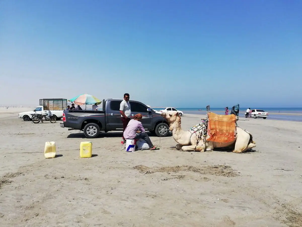 پای درد دل‌های یک قاچاقچی سابق