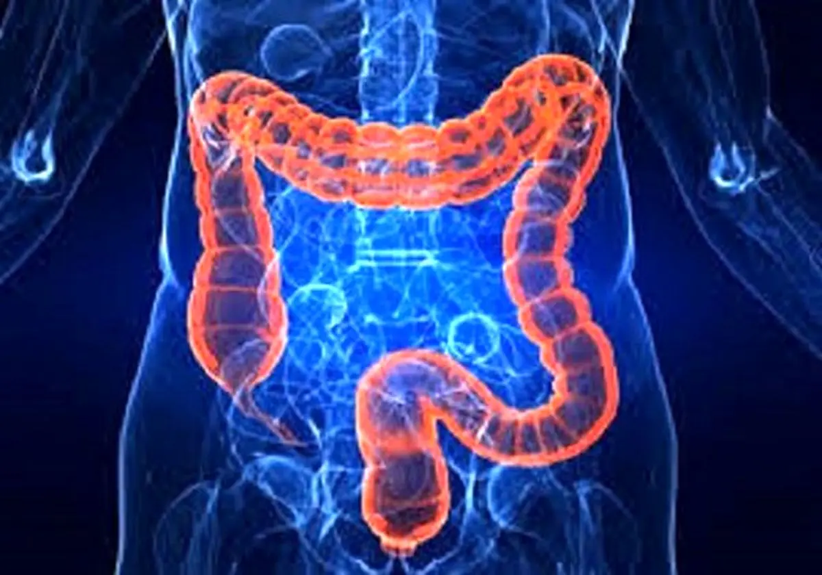 این افزودنی در آدامس و سس مایونز سلامت روده را به خطر می‌اندازد